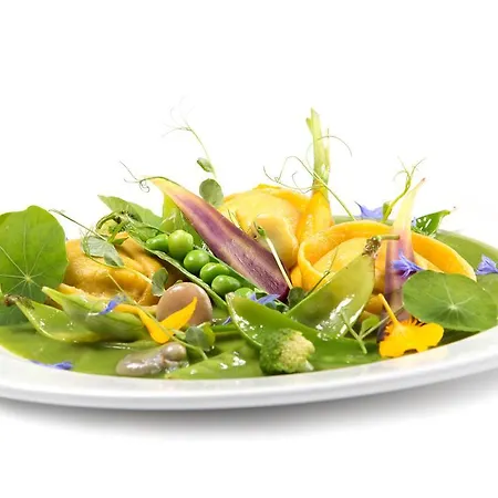 Hotel Veganfresh Hotel