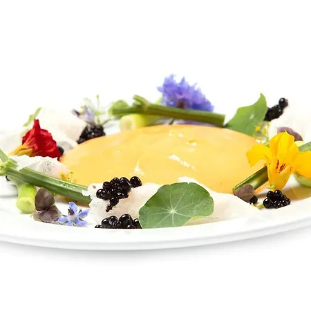 Hotel Veganfresh Hotel 3*