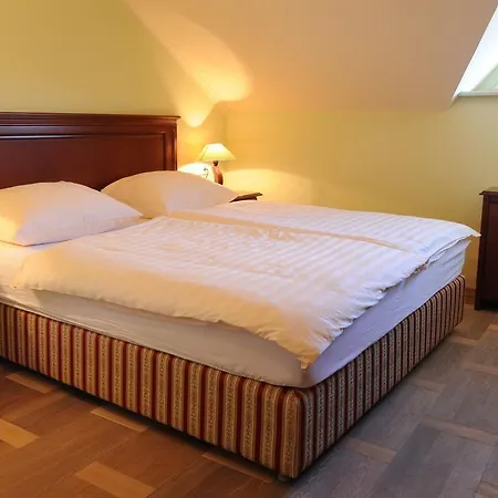 Hotel Hotel Veganfresh 3*